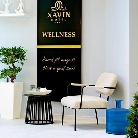 호텔 Xavin Wellness & Restaurant 4*