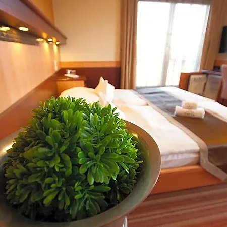 Xavin Wellness & Restaurant 하르카니