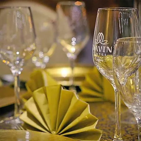 Xavin Wellness & Restaurant 호텔 하르카니