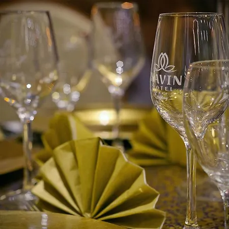 호텔 Xavin Wellness & Restaurant 하르카니