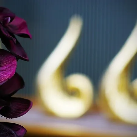 Xavin Wellness & Restaurant Hotel Harkány