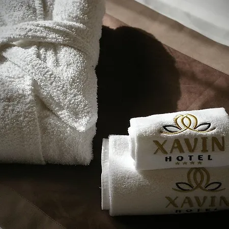 Xavin Wellness & Restaurant 호텔 4*