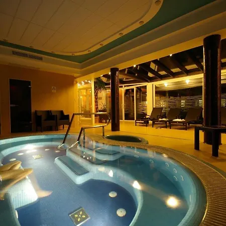 호텔 Xavin Wellness & Restaurant 4*