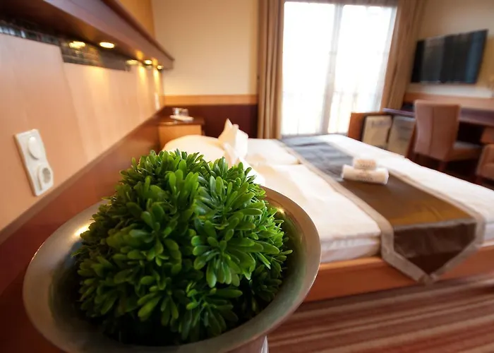 Xavin Wellness & Restaurant 4*