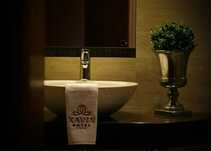 Xavin Wellness & Restaurant מלון 4*