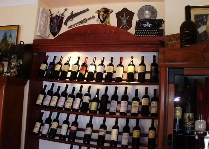 Hotel Xavin Wellness & Restaurant 4*